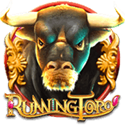 Bull Race