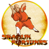 Shaolin Treasure
